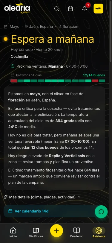 Qué hacer en tu olivar, cuándo y por qué - 2